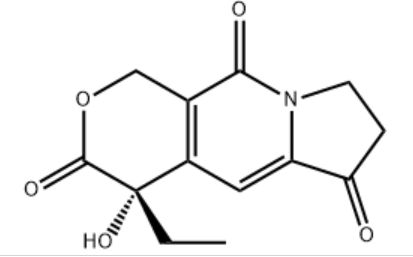 wps_doc_4